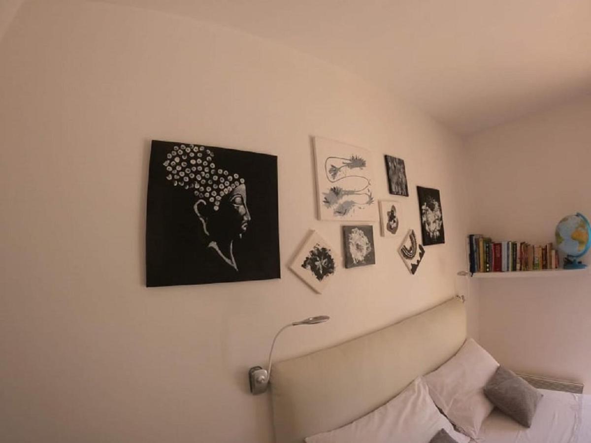 Apartman Zara 比奥格勒·纳·莫鲁 外观 照片